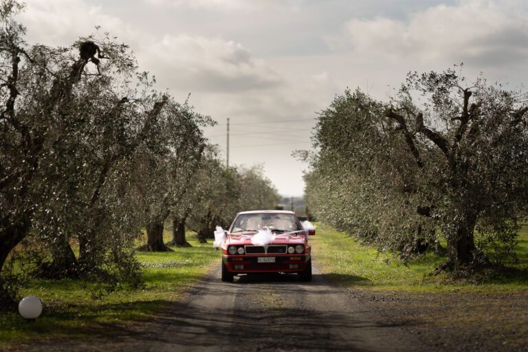 Una fotografia di un'auto d'epoca rossa decorata con nastri rosa e palloncini, che percorre una strada sterrata fiancheggiata da ulivi nodosi sotto un cielo nuvoloso.