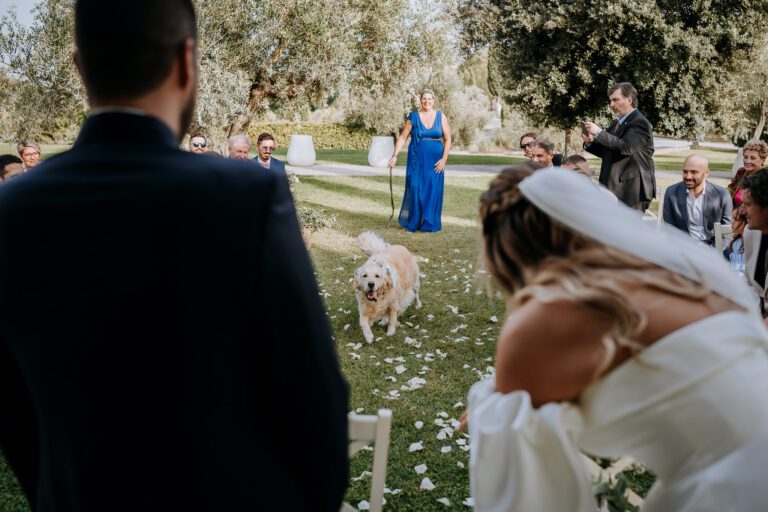 Foto Matrimoni Pisa - Andrea D'Antoni Fotografo fotografo matrimonio pisa 2023 09 17 wedding simone e giulia 2073